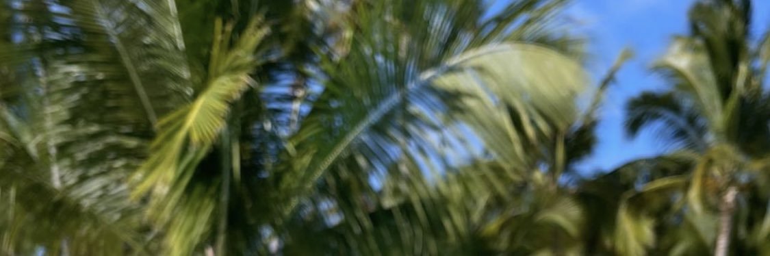 LastQueenGlow's profile banner image