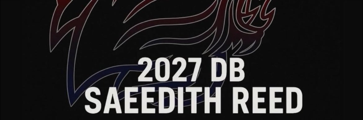 Saeedith Reed banner