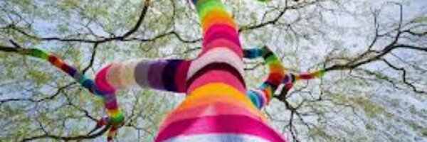 ShannonCarruth Profile Banner