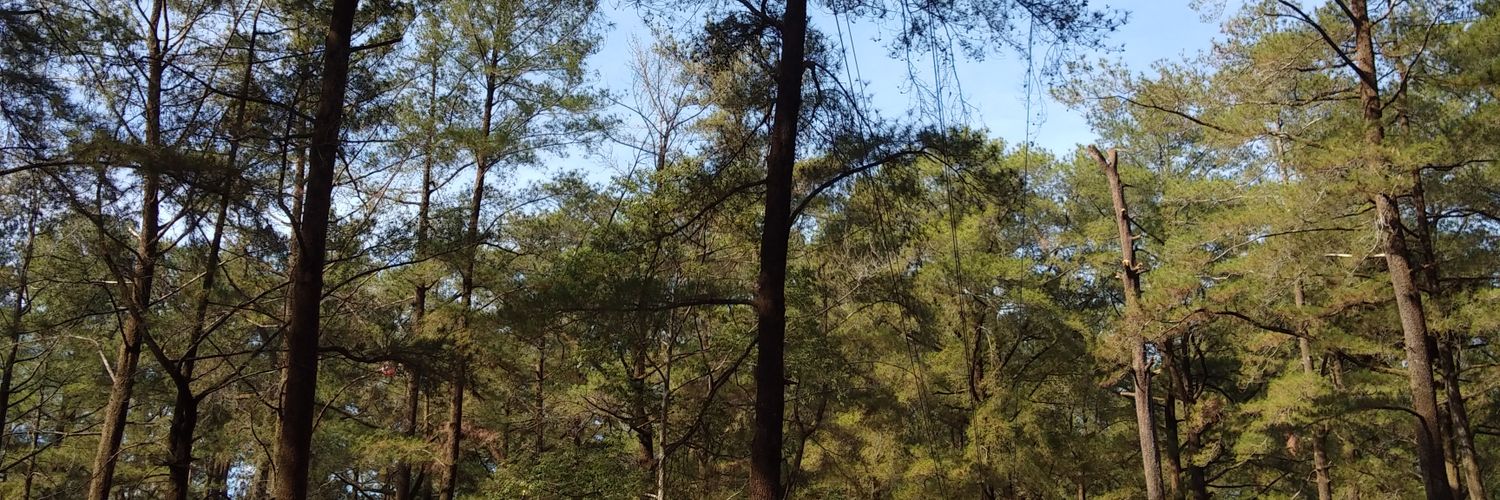 ochiepratiwi's profile banner image