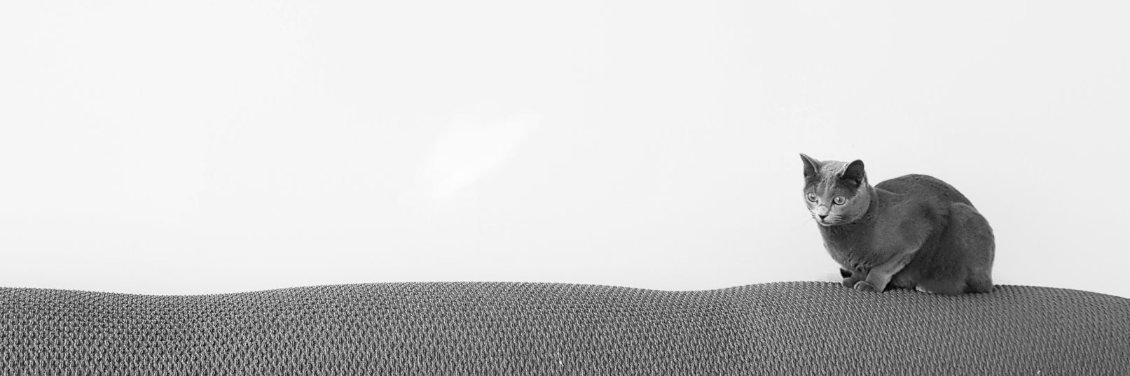 cslee6614's profile banner image