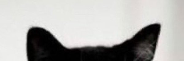 MeowOx0 Profile Banner