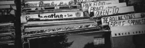 anthony🦝's banner