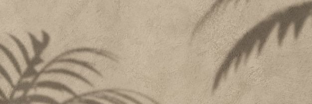 pamemunozf's profile banner image