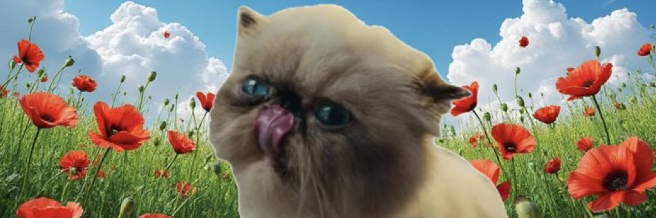 0xB1aBIGMIGG⚡️😼 banner