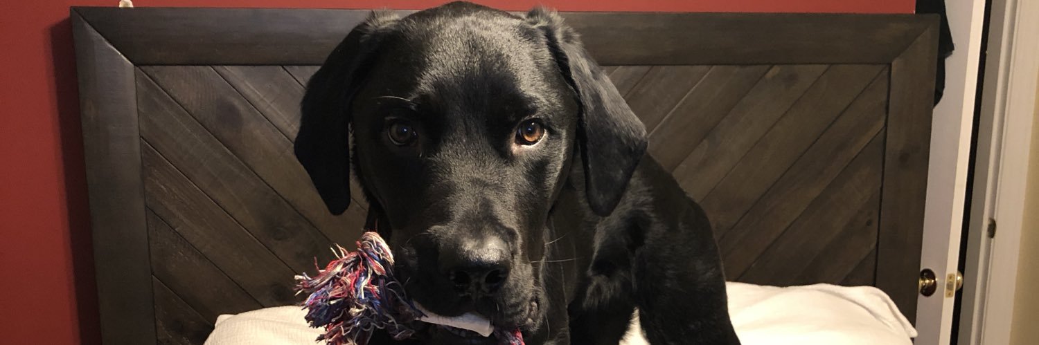 Stephen Demers banner