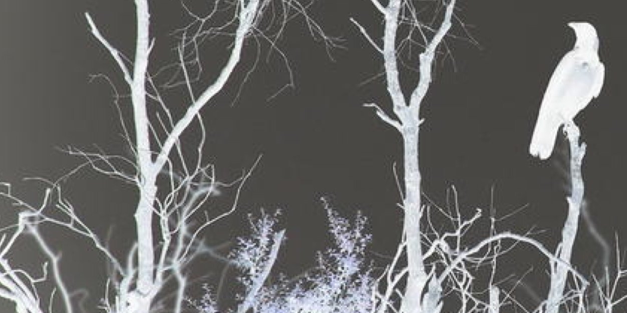 PervyPercy's profile banner image