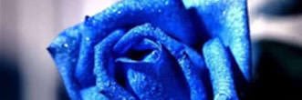arco_58's profile banner image