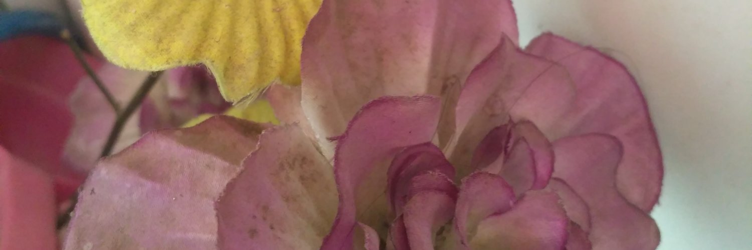 YugasGusman's profile banner image