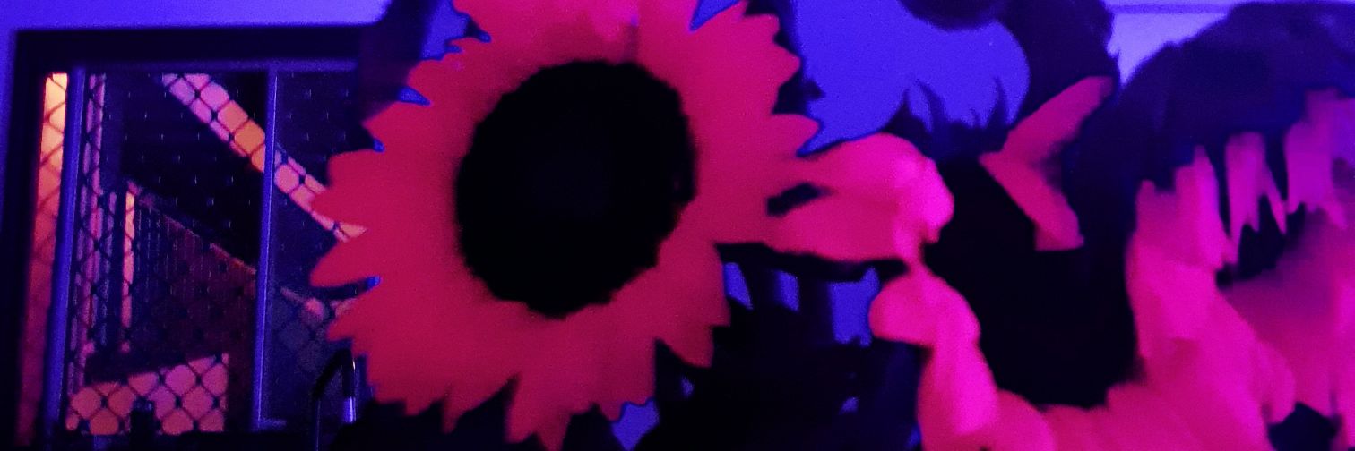 Clara05555's profile banner image