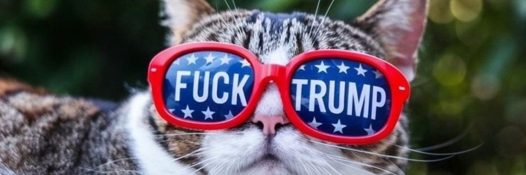 🌊💙🌊Emi #VoteBlue2026🌊✊🌊 banner