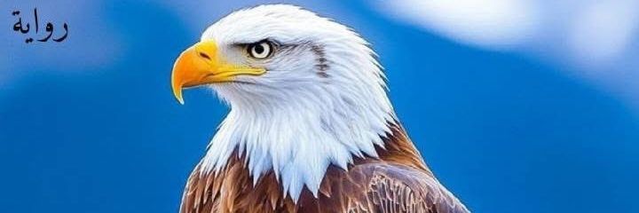 naderb970's profile banner image