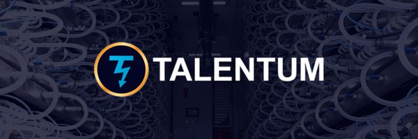 TalentumX Profile Banner