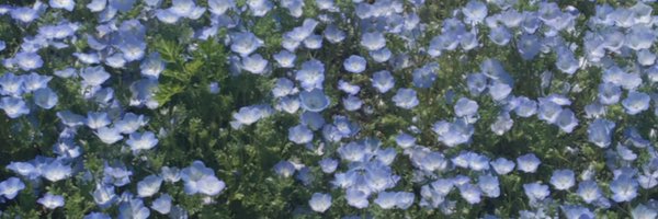 moe0506_ Profile Banner