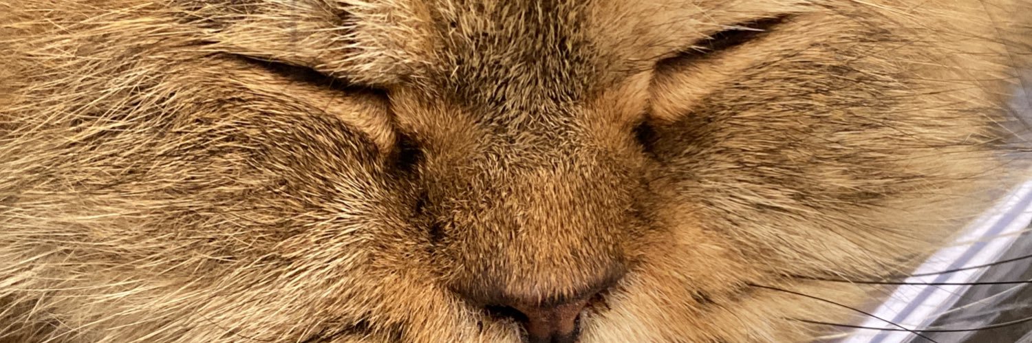 Thaa? banner