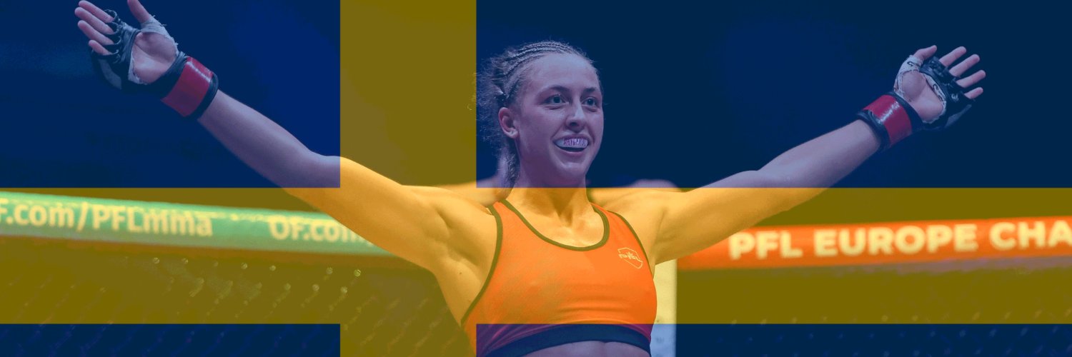 SwedishShogun's profile banner image