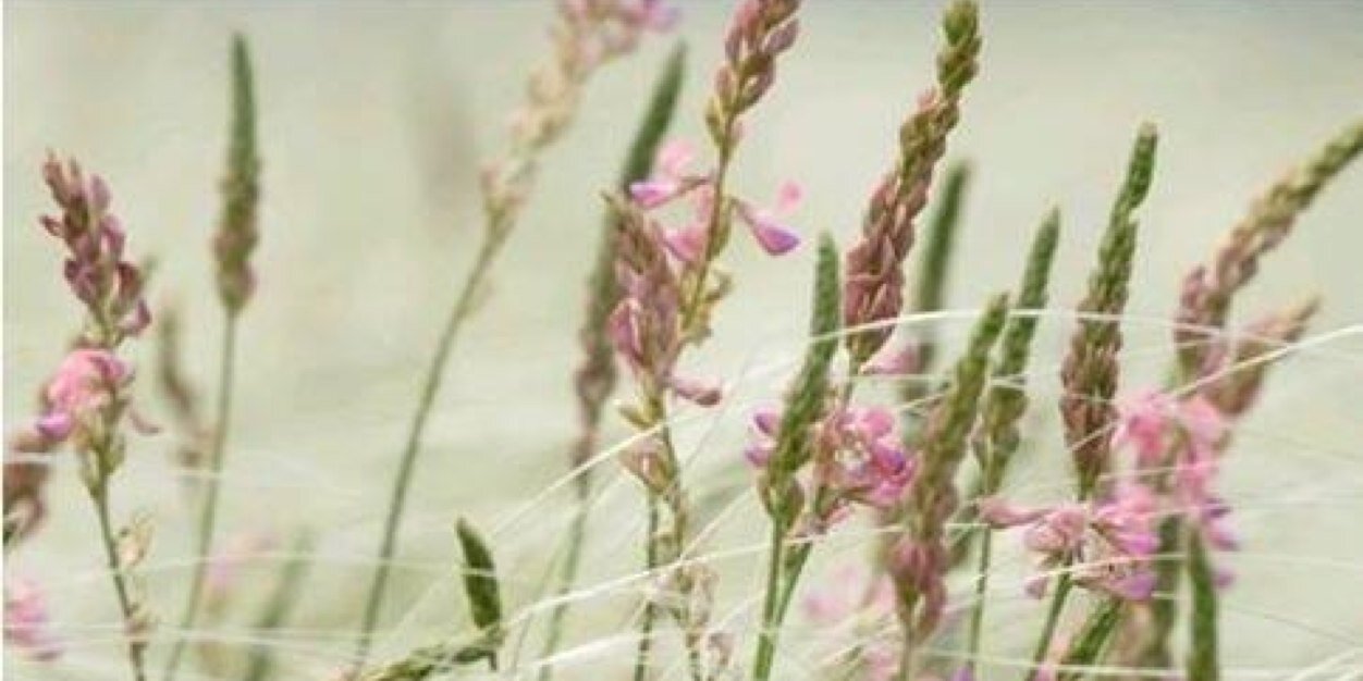 ranii15's profile banner image