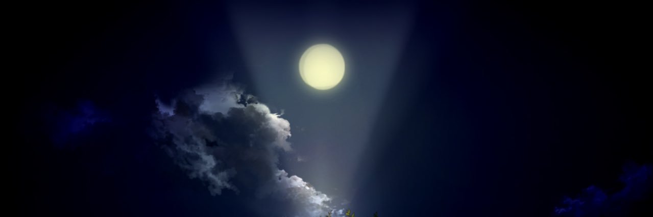 Fu banner