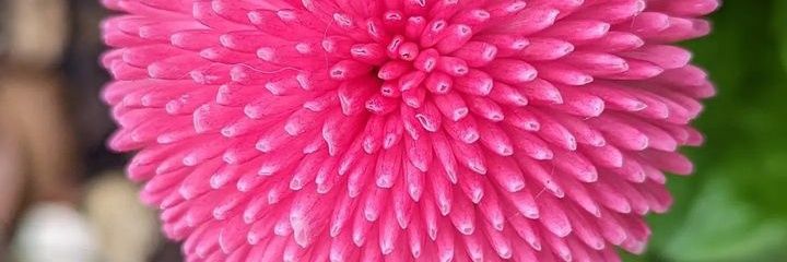 koc121715's profile banner image