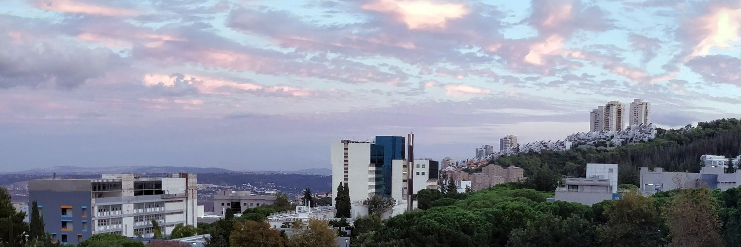 Mirela Ben-Chen banner