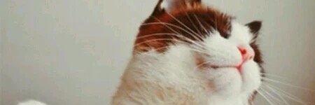 bcremer4's profile banner image