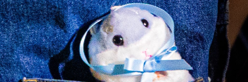 はむ@固ツイ必読 banner