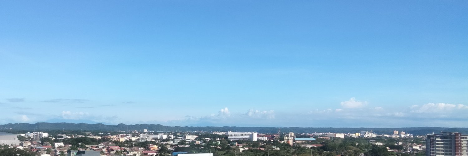 tocinosellaur's profile banner image