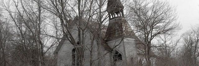 in the arms of flowers banner