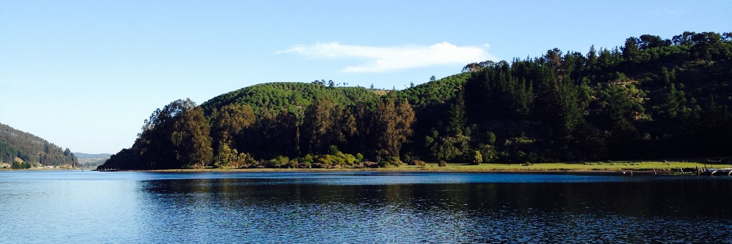 Ignacio Araya banner