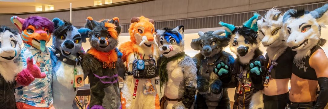 Fin and Fur banner