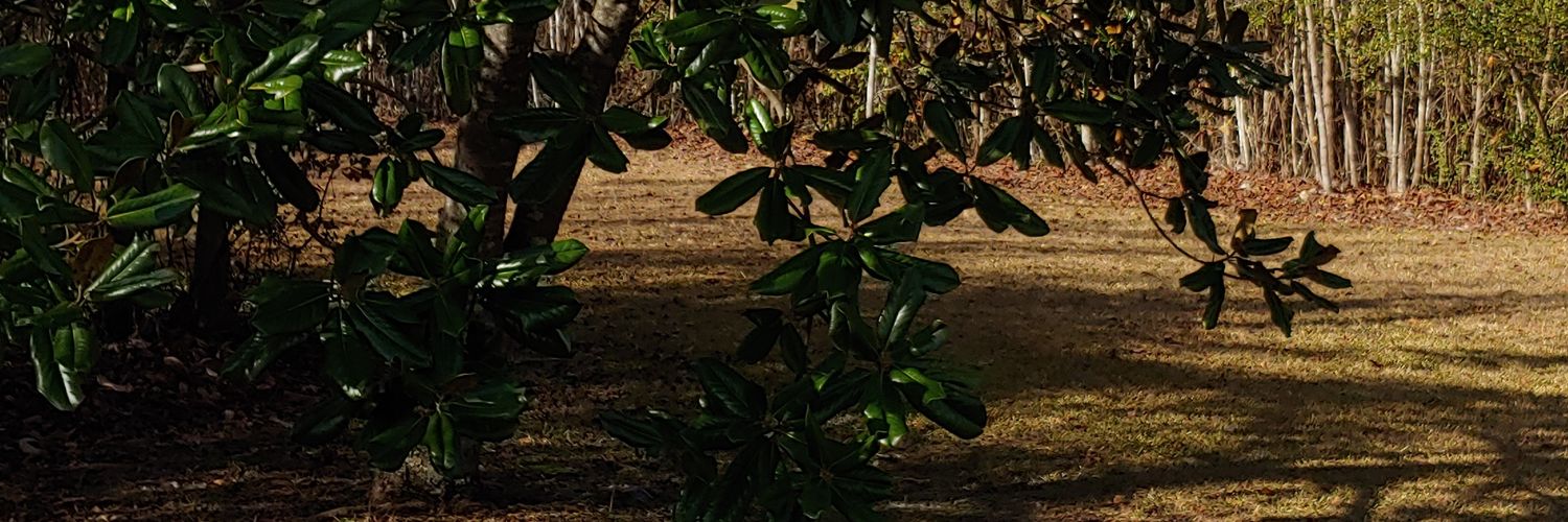 Darius E. Bennett, Esq. banner