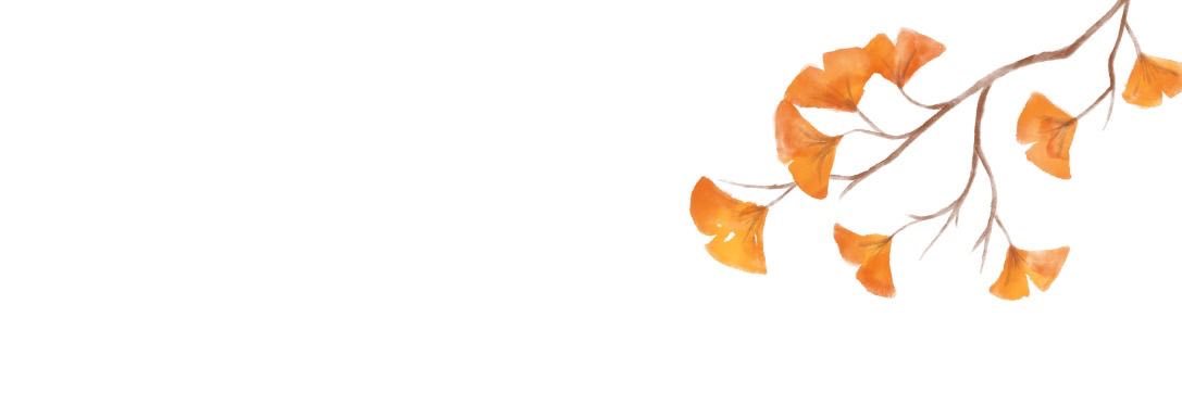zhan 🍊 banner