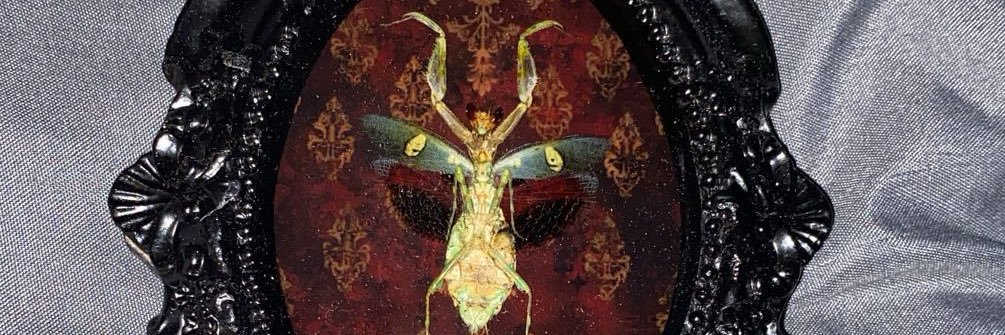 gothdjo's profile banner image