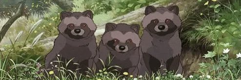 Tanooki ♥︎ banner