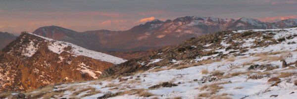 Cam_Walker Profile Banner