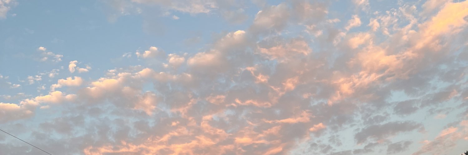 Gal banner