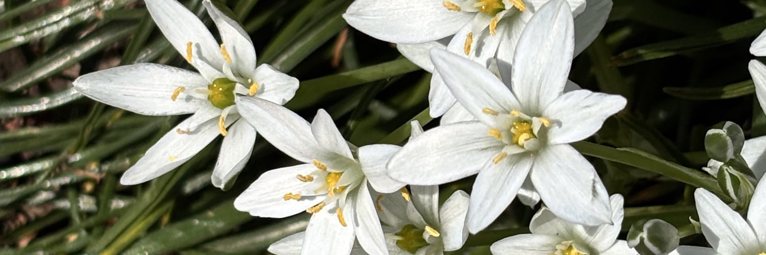 かなり(kanari) banner