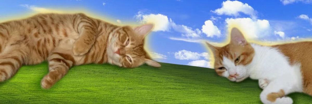 阿花のFAFA's banner
