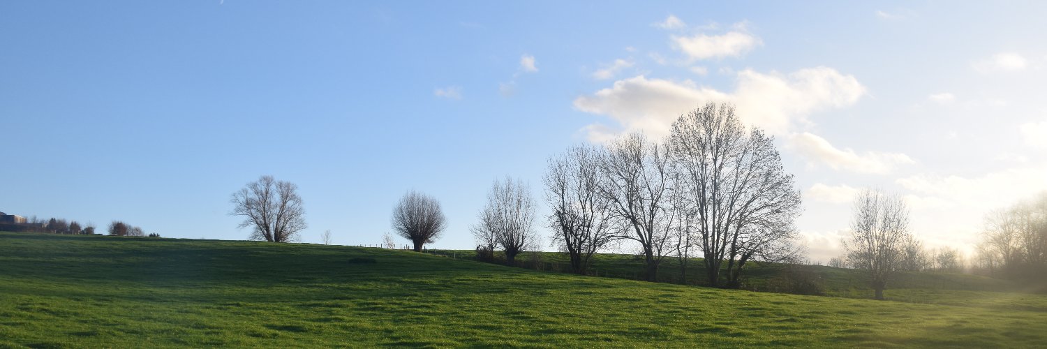 Bart Van Belle banner