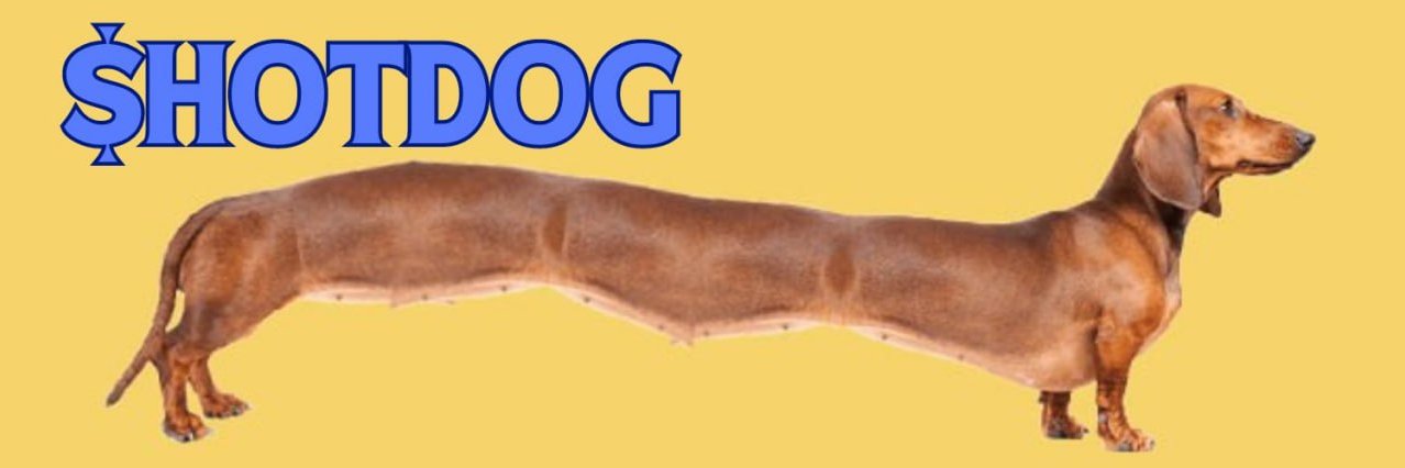 doghotdogfun's profile banner image