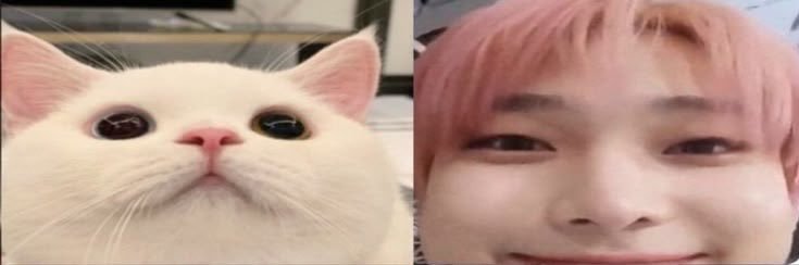 ♐️ banner