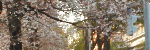 Emerald0705's profile banner image