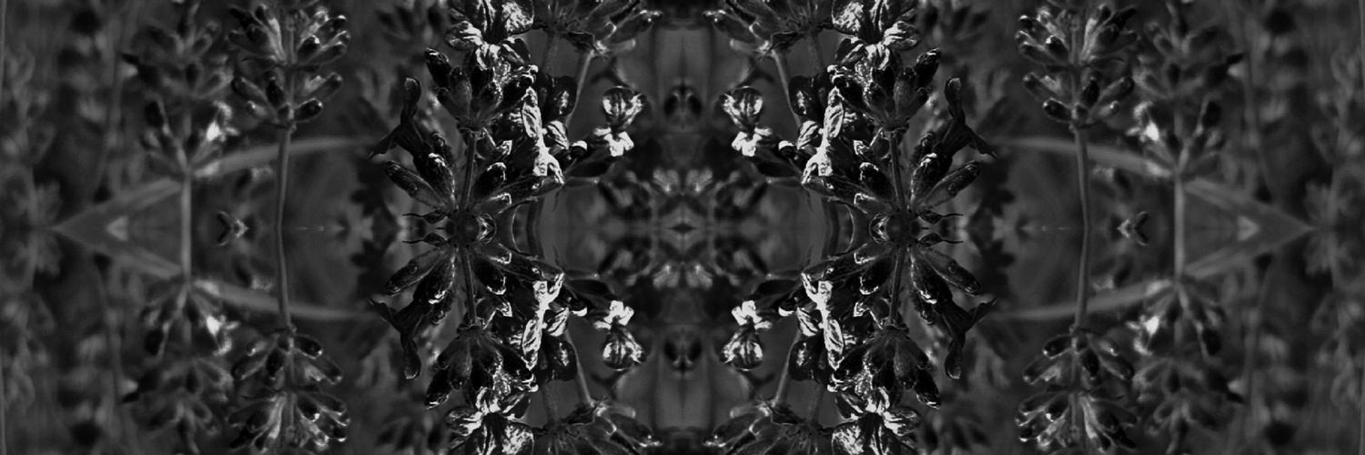 🪻𝕷𝖆𝖛𝖊𝖓𝖉𝖊𝖗🪻's banner