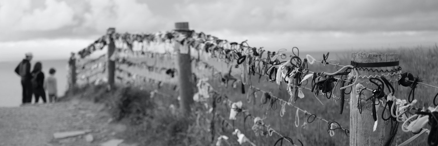 sjaustin's profile banner image