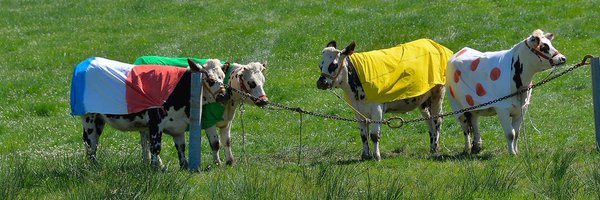 CyclistsAnimals Profile Banner