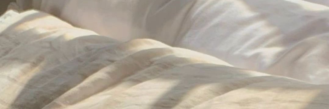 Sara banner