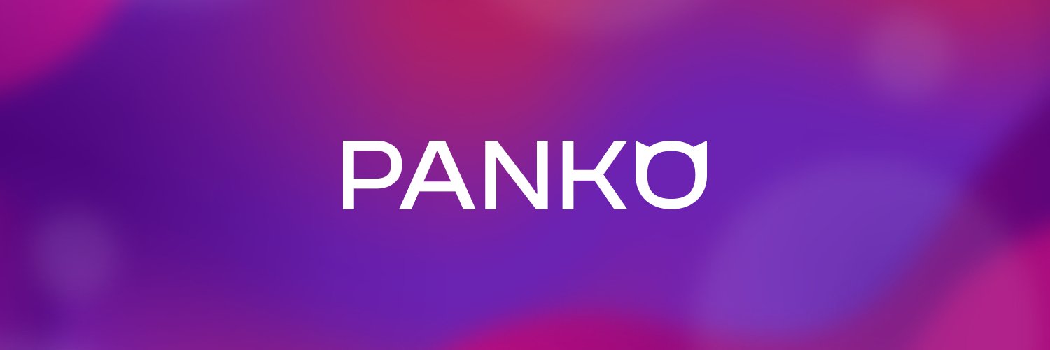 Panko Finance banner