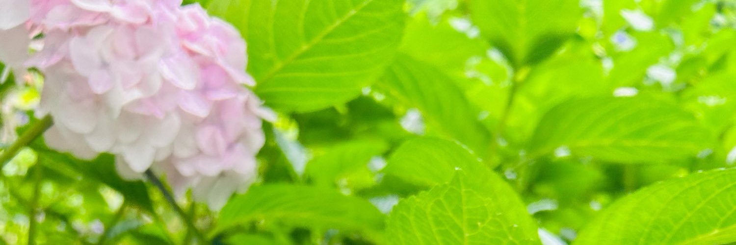 kitani33691's profile banner image