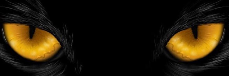 waleed50050's profile banner image