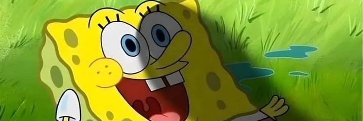 helga ˚˖𓍢ִ໋🌷͙֒✧ banner